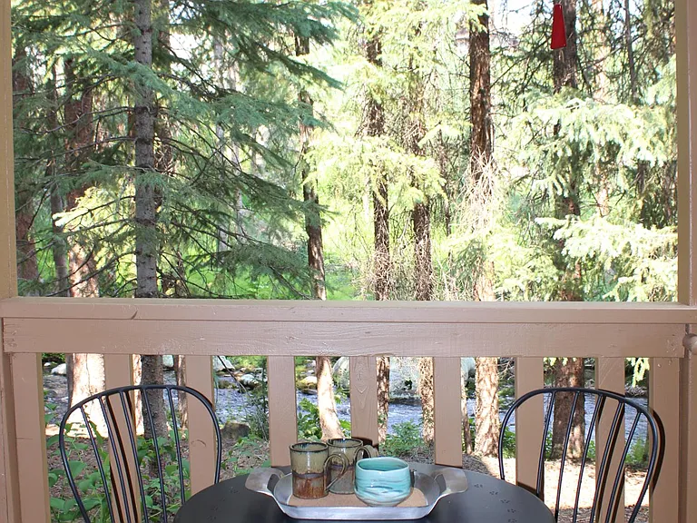 The back patio view! Includes a small gas grill.