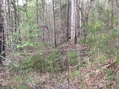 0 Settlers Trl #16&17, Mars Hill, NC, 28754