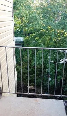 Rented by Erin Brennan, LREB | media 11