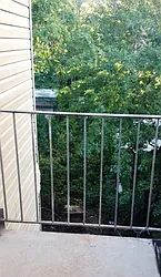 Rented by Erin Brennan, LREB