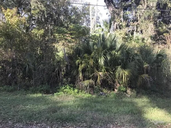LOT 13 LOT 13, LAKE PANASOFFKEE, FL 33538