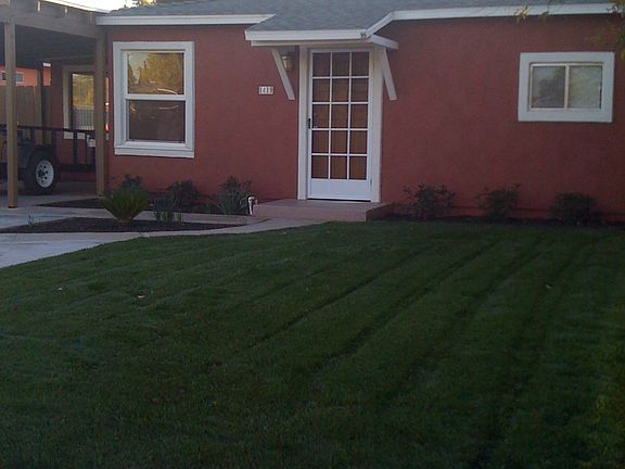 1419 S. Tulip before drought