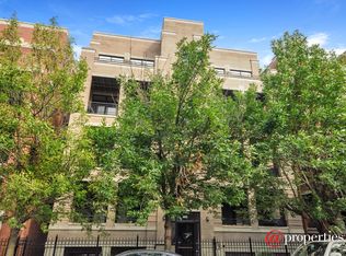 685 N Peoria St APT 2S, Chicago, IL 60642