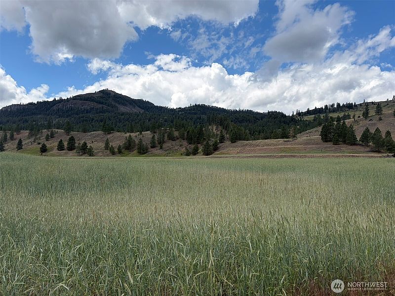 5th image of 1 TBD Lundimo Meadows Tract 1