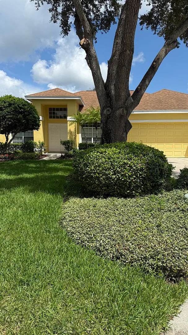 Safety Harbor Honey — Photo 1