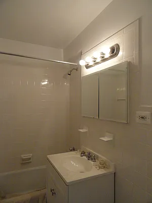 Rented by Manhattan Flats | media 31