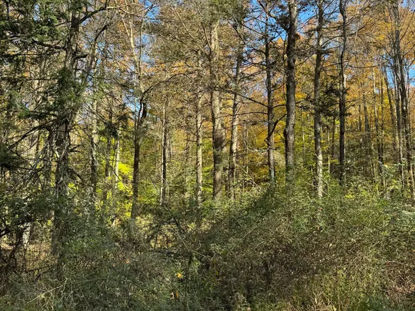 Finn Rd, Benton, PA 17814