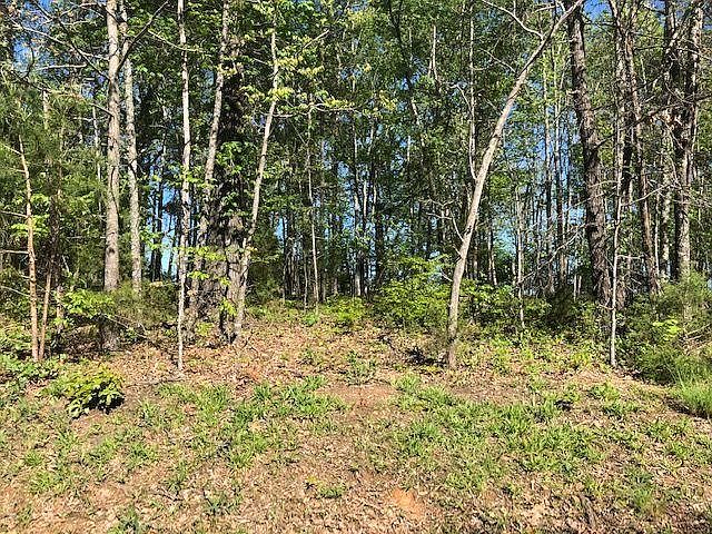 2nd image of 150 Pocola Way Lot 18