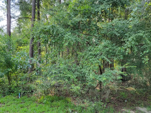 LOT 11 W Wildwood Cir #11, Live Oak, FL 32064