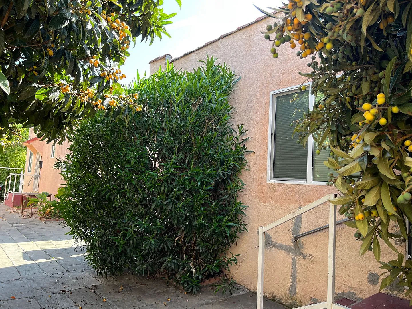 5223 De Longpre — Photo 3