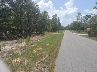 NE 7th Pl LOT 15, Williston, FL, 32696