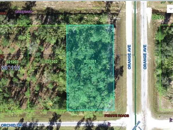0 Orchid Dr Lot 1, Indian Lake Estates, FL 33855