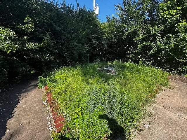 3 bed, $2,300 — Photo 2
