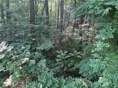 0 Herron Trl #55, Atlanta, GA, 30349