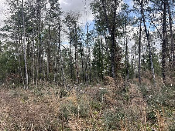 3rd image of Three Bridges Rd