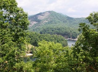 4393 Lake Forest Dr, Tuckasegee, NC 28783