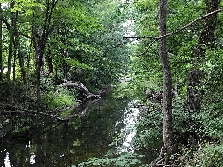 Agawamuck stream
