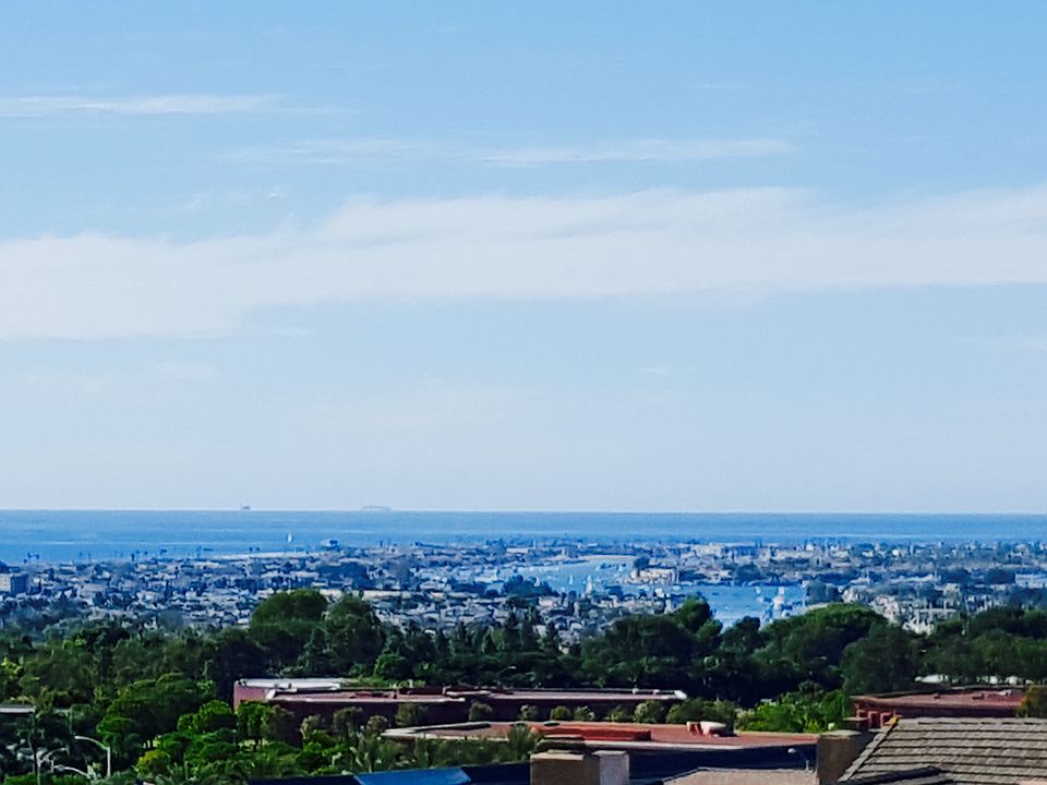 Ocean & Harbor views