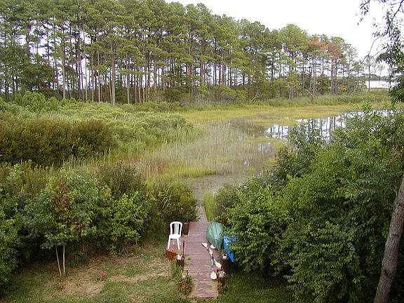 Back Yard Kayaking