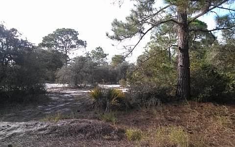 1st image of 412 Tahiti Ln