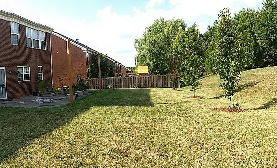 Back yard with lot of privacy