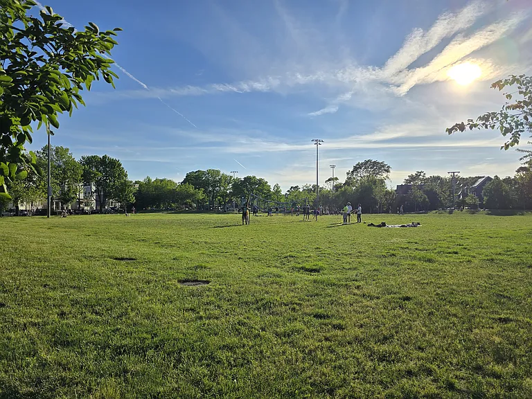 public field