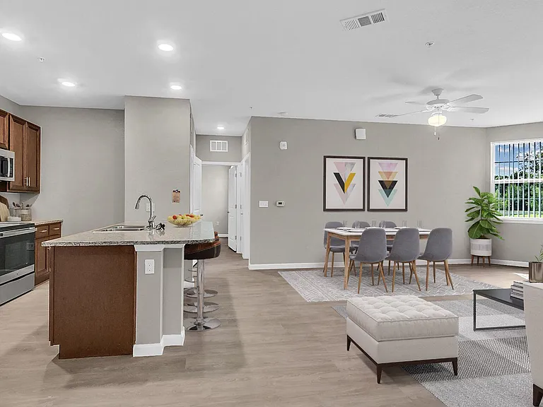Living Room and Kitchen