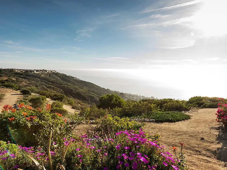 Elan Overlook Laguna Apartments — Photo 9