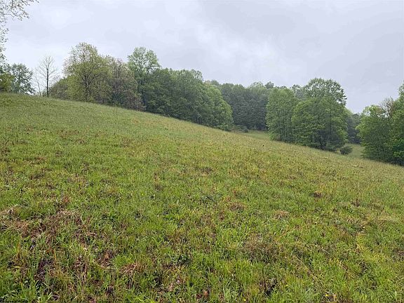 3rd image of Old Elkins Rd