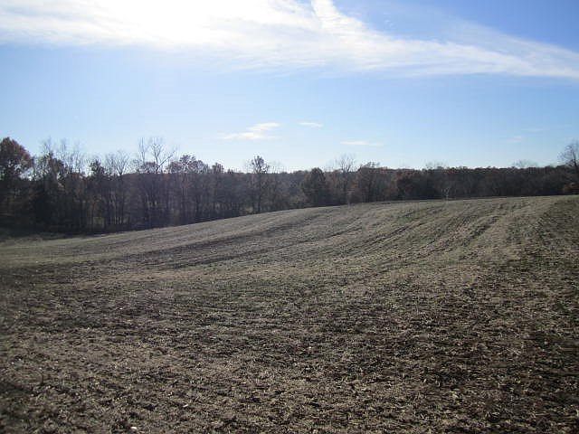 1st image of Woodland School Dr