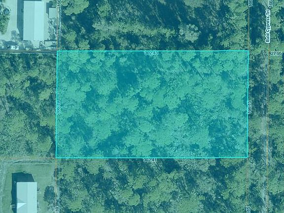 2nd image of 00 Bald Cypress Trail