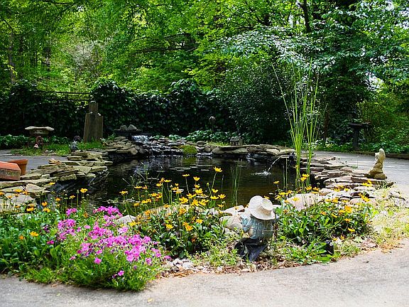 Beuatiful garden pond