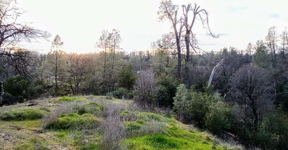 1st image of 18675 Wilderness Dr