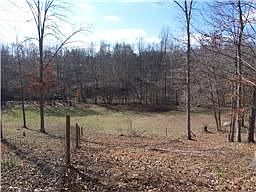 Huge back yard with a creek!