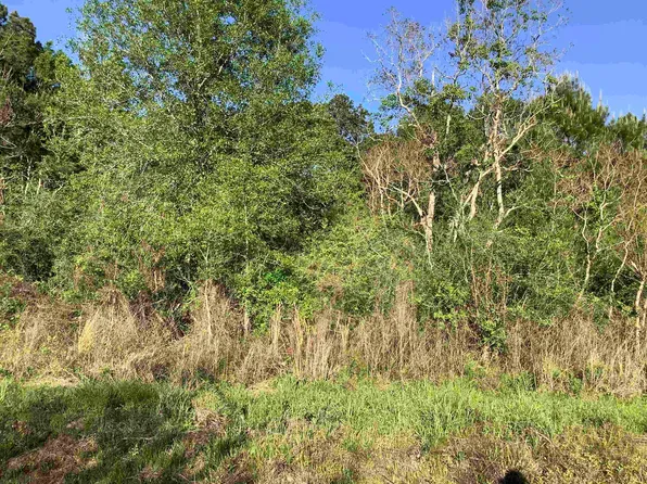 7118 County Road 701, Kirbyville, TX 75956