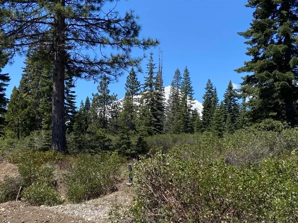 4-E-3 Echo Way, McCloud, CA 96057