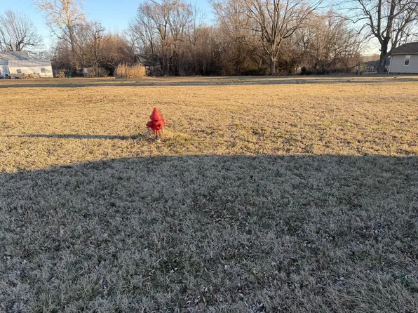 203 W Brown Street, Clever, MO 65631