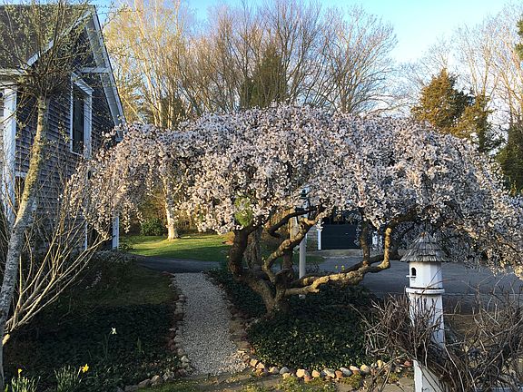 Two-car garage w/loft