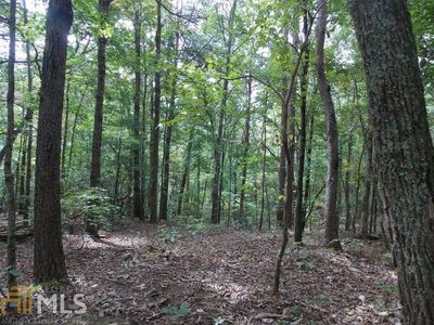 0 Camp Wahsega Bull Creek Rd E, Dahlonega, GA, 30533