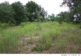 1st image of 6185 W Peter Ln