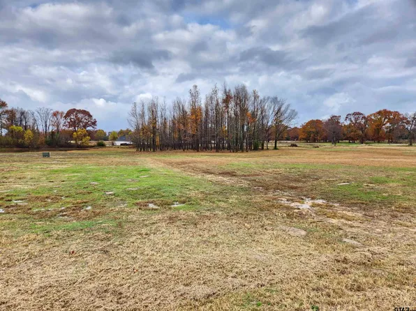 23 County Road 2230, Mineola, TX 75773