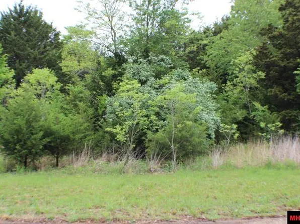 Lots 31 & 31 Fawn Ridge Ter, Midway, AR 72651