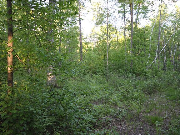 4th image of Lot  1 Timber Wolf Drive