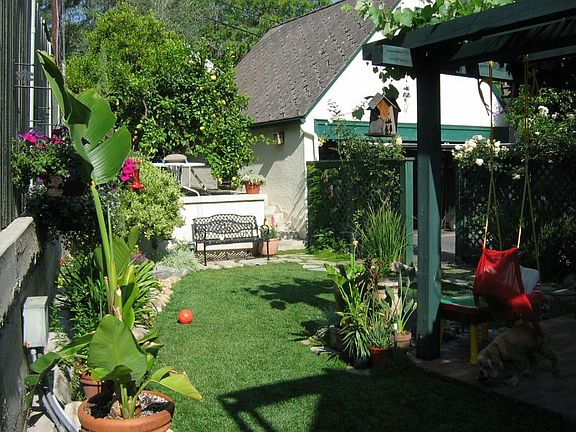 back yard 