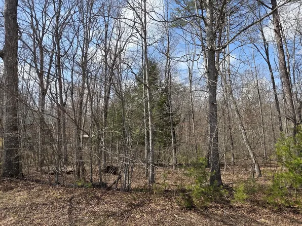 Cumberland Lakes Dr, Monterey, TN 38574