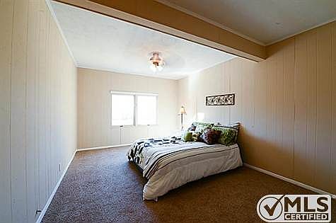 5th image of 4604 Sandra Lynn Dr
