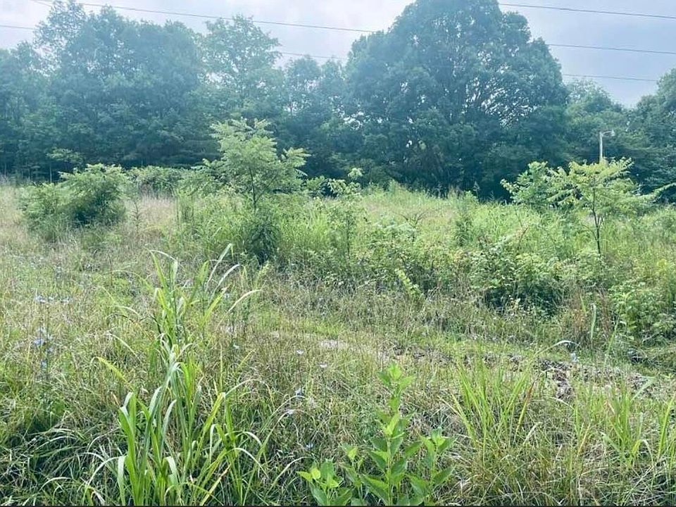 2nd image of 141 Edwards Rd