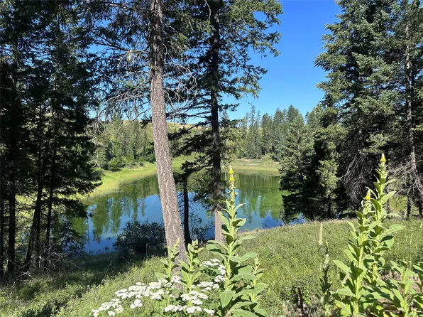 196 Belterra Lane, Bigfork, MT 59911