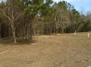 28 Tiny Ln, Pawleys Island, SC 29585