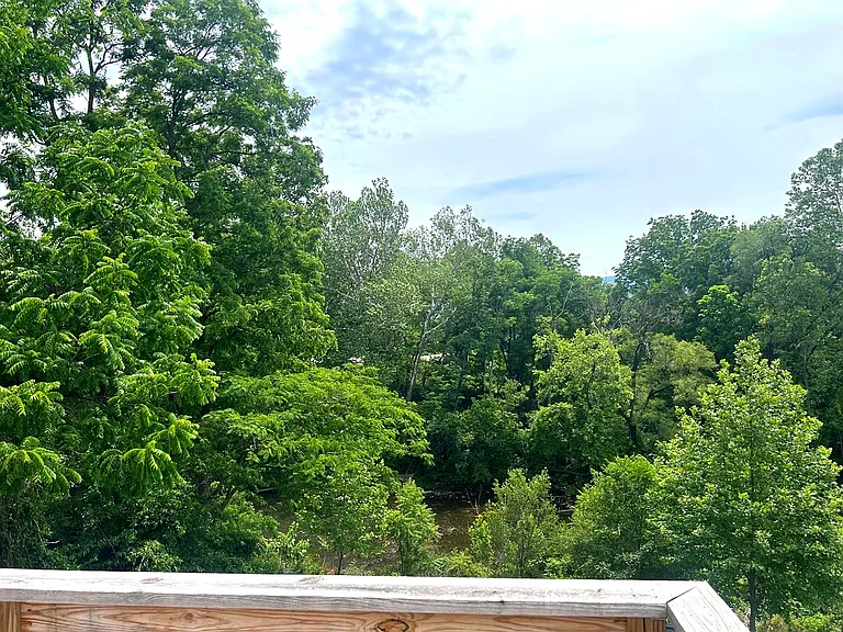 244 Shiloh Ave — Photo 4